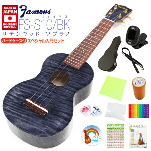 Famous tFC}X YEN FS-S10/BK \vm n[hP[Xt XyV12_Zbg TeEbh ubN (S̓{)(u)