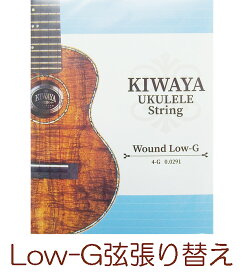 Low-G弦張り替えオプション【単体販売不可】