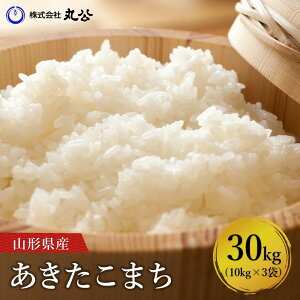 V ߘa7NY ܂ 30kg 10kg×3   R`Y 