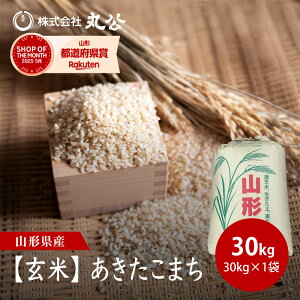 yāzߘa7NY ܂  30kg×1 ꓙ R`Y V