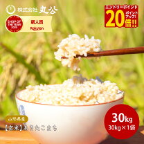 楽天市場】山口 米 玄米 30kgの通販