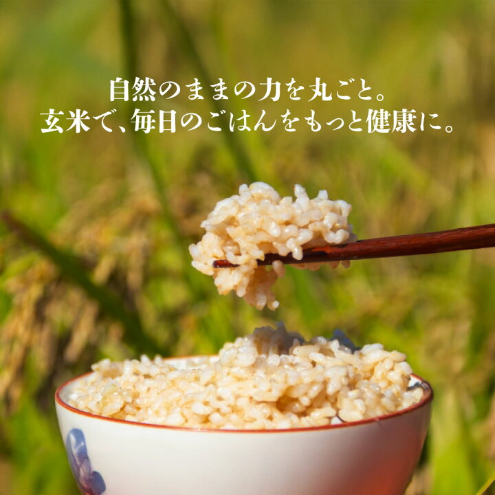 楽天市場】【P20倍！全員OK。エントリーだけ！14日 20:00～】【玄米 