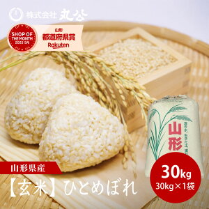 yāz V ߘa7NY ЂƂ߂ڂ  30kg×1 R`Y ꓙ