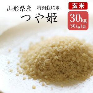 yāzV ߘa7NY P  30kg×1 R`Y ꓙ