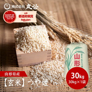 yāzV ߘa7NY P  30kg×1 R`Y ꓙ