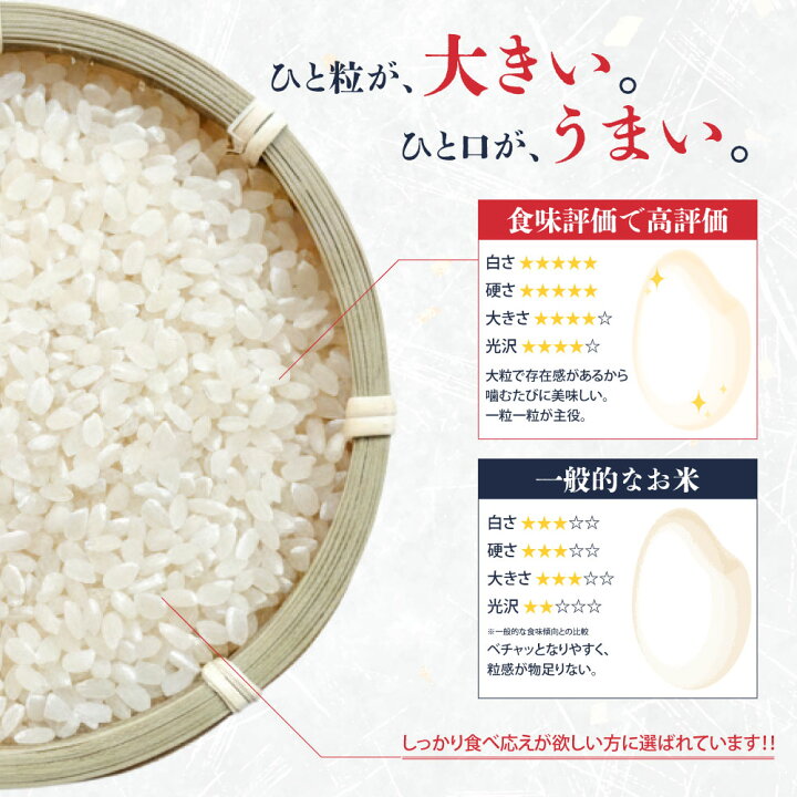 楽天市場】令和7年産 雪若丸 10kg 5kg×2袋 山形県産 お米 白米 精米 