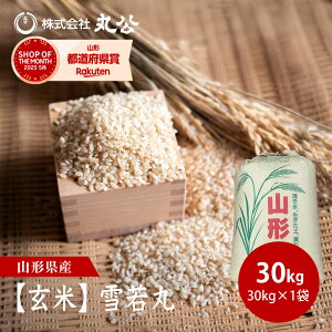 yāz ߘa7NY   30kg×1 R`Y V