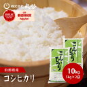 令和7年産 コシヒカリ 10kg 5kg×2袋 お米 白米 山形県産