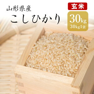 yāzRVqJ 30kg×1  R`Y V ߘa7NY ꓙ