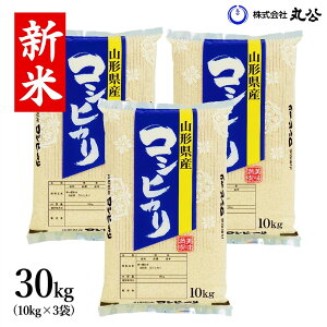 V ߘa7NY RVqJ 30kg 10kg×3   R`Y 