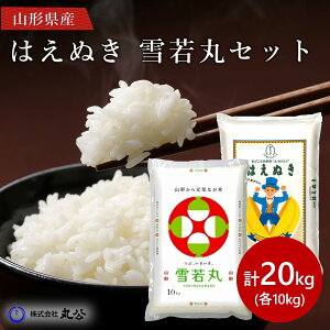 V ߘa7NY ͂ʂ  10kgZbg v20kg R`Y  Hה