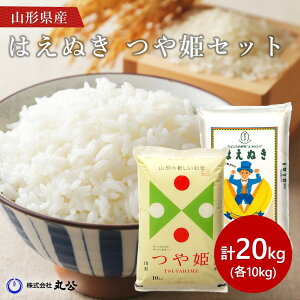 V ߘa7NY ͂ʂ P 10kgZbg 20kg   R`Y Hה