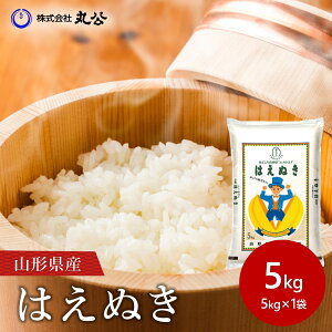 5kg ͂ʂ  R`Y V ߘa7NY 