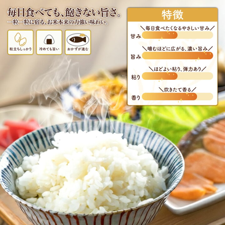 楽天市場】令和7年産 はえぬき 10kg×1袋 お米 白米 山形県産 送料無料 