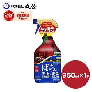 xjJXt@CXv[ 950ml KN o EEۍ ZFw|   