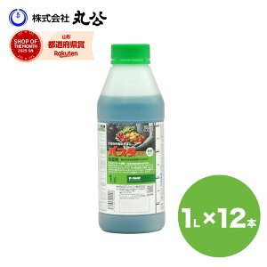  BASF oX^t 1L×12{ ߃^Cv _o^i _knp   XMi G