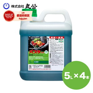  BASF oX^t 5L×4{ _o^i _knp   XMi G