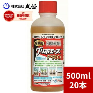  OzG[XPRO 500ml×20{ ߃^Cv t _o^i st Wܕsv OzT[g