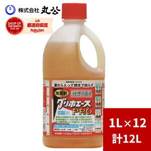  OzG[XPRO 1L×12{ ߃^Cv t _o^i st Wܕsv OzT[g