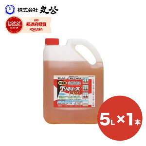  OzG[XPRO 5L ߃^Cv t _o^i st Wܕsv OzT[g