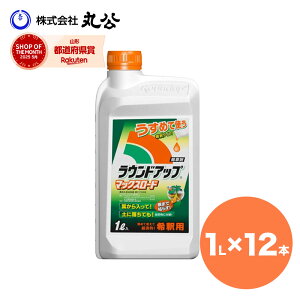  EhAbv}bNX[h 1L×12{ Yw ߃^Cv ߂Ďg  I𐫌st _o^i ƒ؉ K[fjO