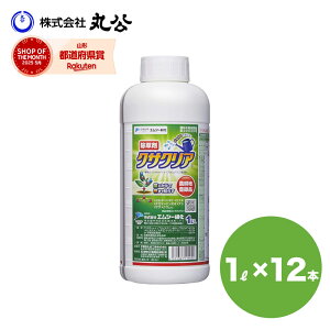  NTNA t 1L×12{ _o^i _knp OzT[g ߃^Cv G XMi M ^|| XXL