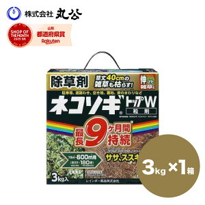 lR\MgbvW (3kg) 