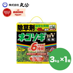 lR\MgbvW (3kg) 