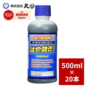  VZC ͂ 500ml×20{ e t Ɩp Q   _knp OzT[g