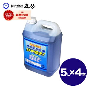  VZC ͂ 5L×4{ e t Ɩp Q   _knp OzT[g