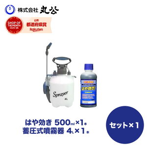 yZbgiz~ 4L ͂ 500ml t Q   _knp OzT[g VZC 