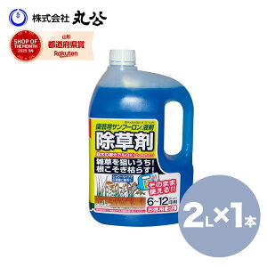 |pTt[t 2L ̂܂܎g  ƒ؉  ԏ