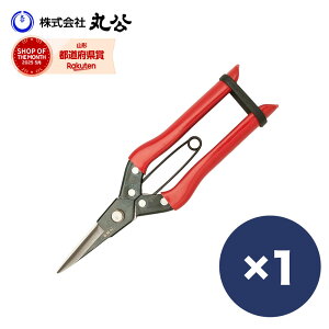  ԕ V [ b   P[X  ͂ nT~ oT~  |