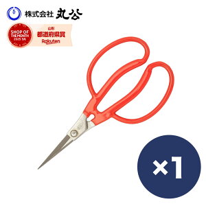  V [ b   P[X  ͂ nT~ oT~  |