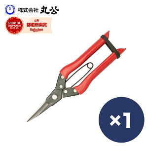 AXp Ȑn V [ b   P[X  ͂ nT~ oT~  |