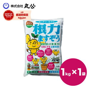 ͂܂ 1kg yǍ ۔ ې K[fjO  h~ C^[ICg W[NCg