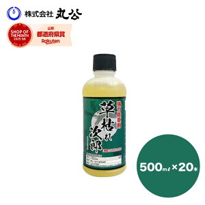  VZC ͂ꎟY 500ml×20{