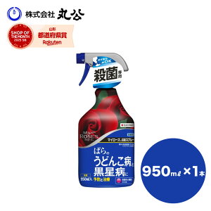 }C[Y EۃXv[ 950ml KN o Eۍ ZFw|   
