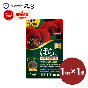 }C[Y ΂ o KN VR L@ 엿 1kg