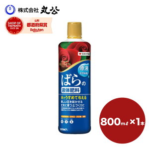 }C[Y t̔엿 800ml o KN