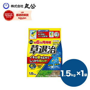  ގE 1.5kg 