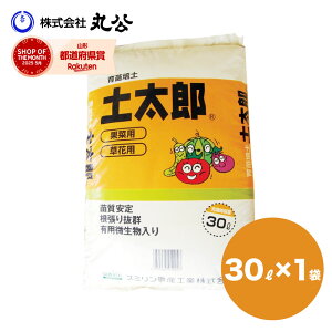 yY 30L c|y ʎ 