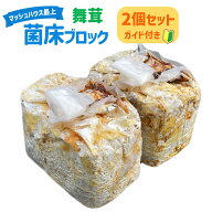 マイタケ 舞茸 菌床 ブロック 2個セット きのこ 送料無料 国産 家庭菜園 栽培