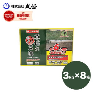  ͂ꗱY 3kg×8 v24kg u}V5%