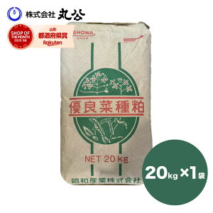  20kg ؎  엿 | ƒ؉ aQ\h 瑣i yǍ  ʕ K[fjO 