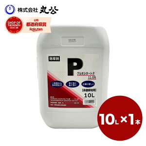  OzVl[gP 10L VZC _knp  G Ɩp