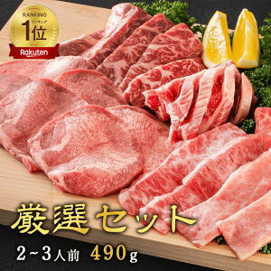厳選セット(2~3人前) 490g 高級 焼肉セット ギフト お中元 焼肉 焼き肉 詰め合わせ セット 焼肉食べ比べセッ