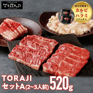 _29E30{1pbNv[gI^ y ē gW zgWZbgA 520g 2~3lO gW Mtg toraji 荇킹 v[g Mtg Hה ĂMtg lߍ킹 z J