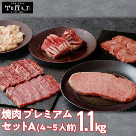 【 焼肉トラジ 】プレミアムセットA 1,100g 4～5人前 カルビ & ハラミ ホルモン 黒毛和牛 サーロイン 牛タン 冷凍焼肉 和牛 焼肉セット 焼き肉ギフト 食べ比べ 高級肉 美味しい肉 焼き肉セット 贈答用 サーロインステーキ ダイヤモンドCut 父の日