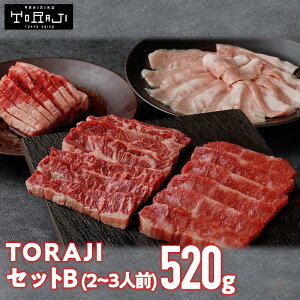 _10%OFFN[|zz^ y ēgW zTORAJIZbgB 520g 2~3lO aJr n~ _ChcutJr ؃g v[g BBQ Ⓚē ĂpZbg o[xL[Zbg gg 